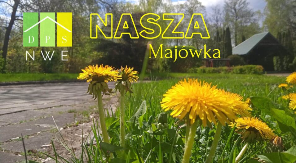 NASZA MAJÓWKA !